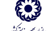 جوابیه سازمان بهزیستی به یک گزارش
