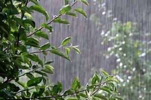پیش بینی هوای زنجان فردا دوشنبه 21 اردیبهشت/ بارش باران همراه با رعد وبرق