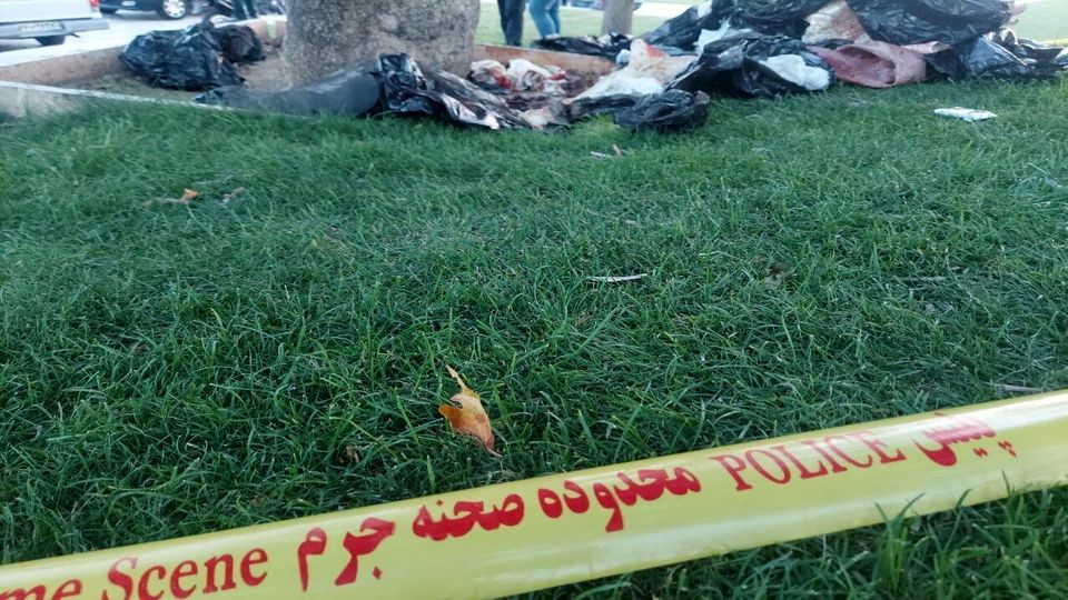 کشف جسد تکه تکه شده زن جوان داخل چند پلاستیک زباله در میدان آزادی تهران